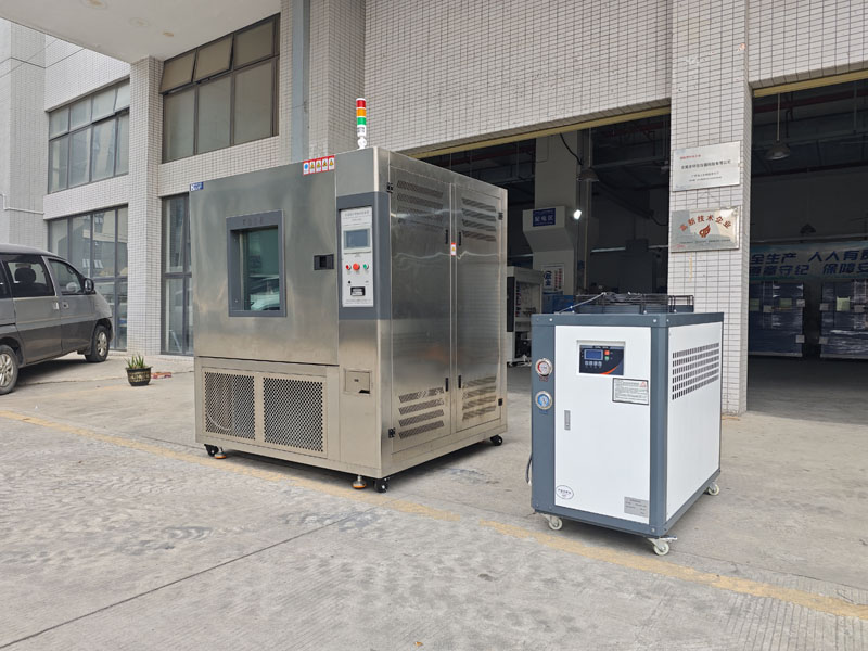 IMG_20251029_113728.jpg IMG_20251029_113728.jpg